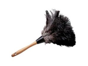 feather duster