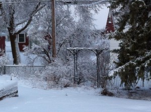 April 22: Earth Day April 23: Earth-Hates-Me Day