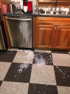 Love me, love my floor (but don't cry over spilled milk!)